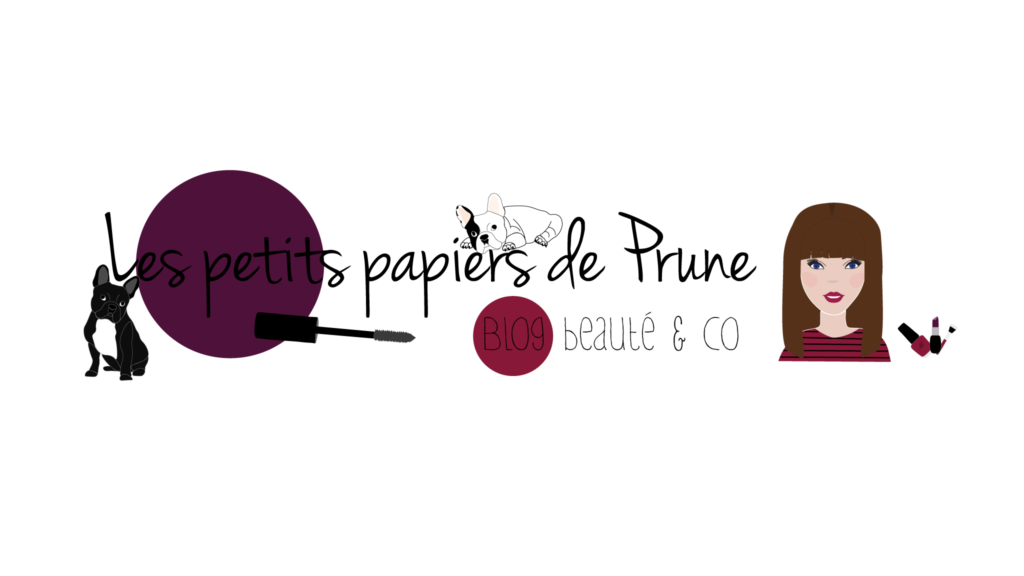Logo & Bannière "Blogueuse Les petits papiers de Prune"