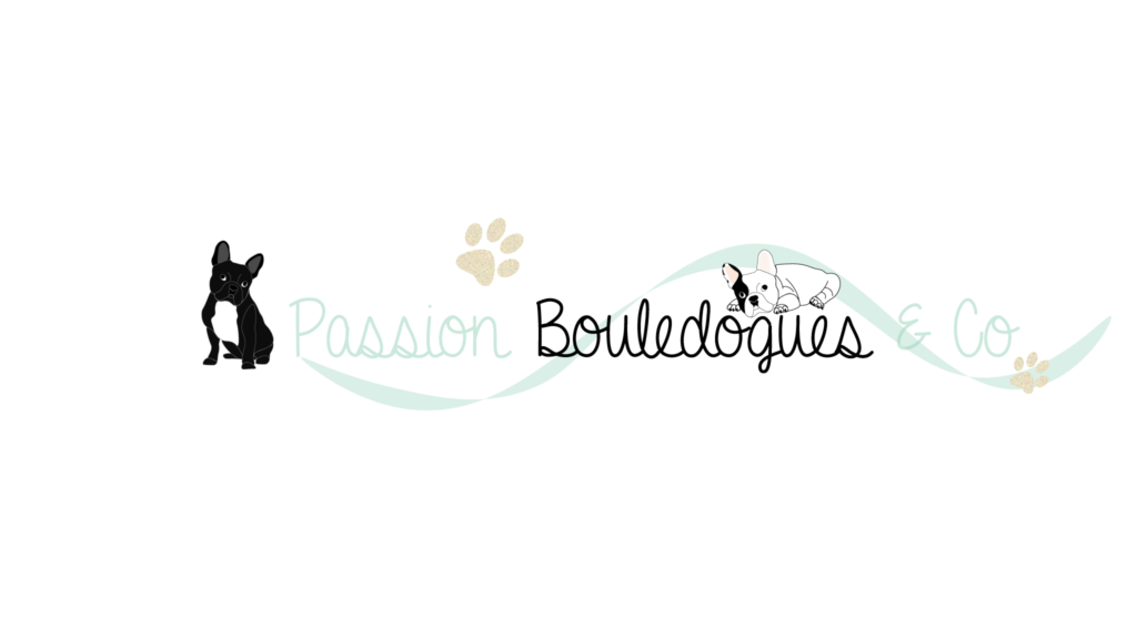 Logo & Bannière " Blogueuse Passion Bouledogues"